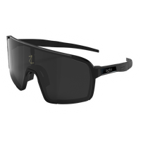 Z-FASTERS PRO